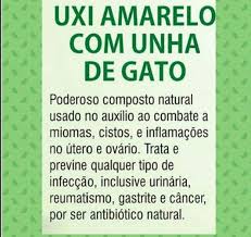 como tomar uxi amarelo e unha de gato