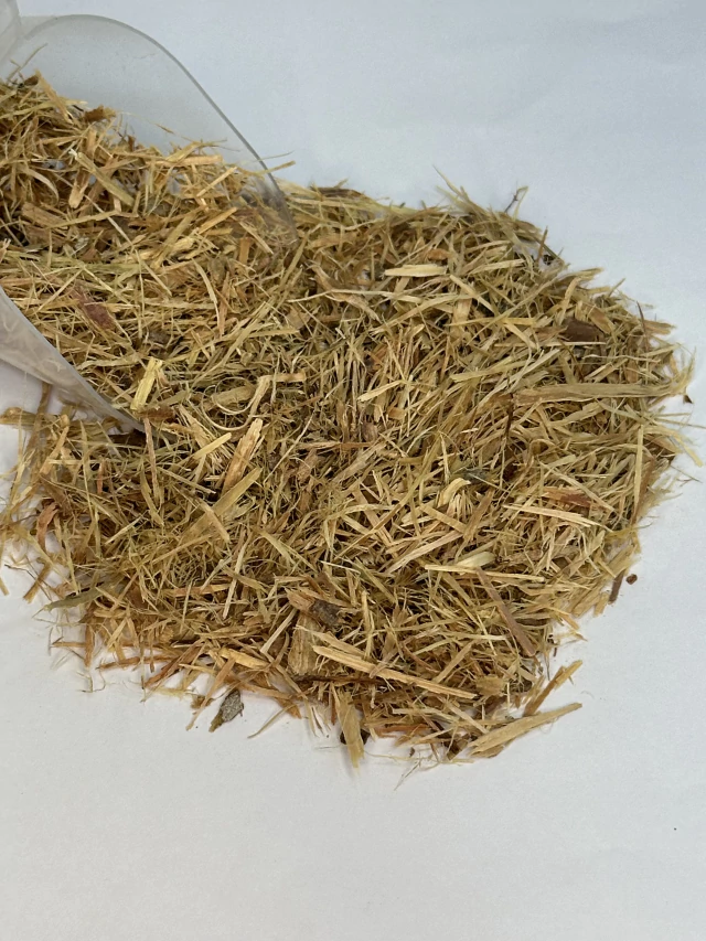 Chás Medicinais: Mitos e Verdades sobre Contraindicações e Interações