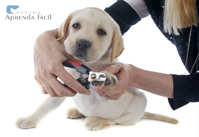 como cortar a unha do cachorro