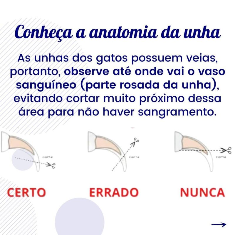 como cortar a unha do gato