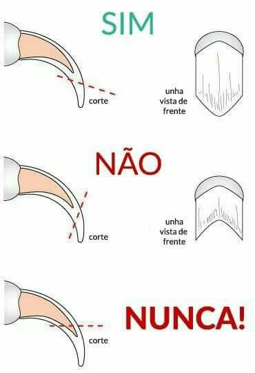 como cortar unha de gato