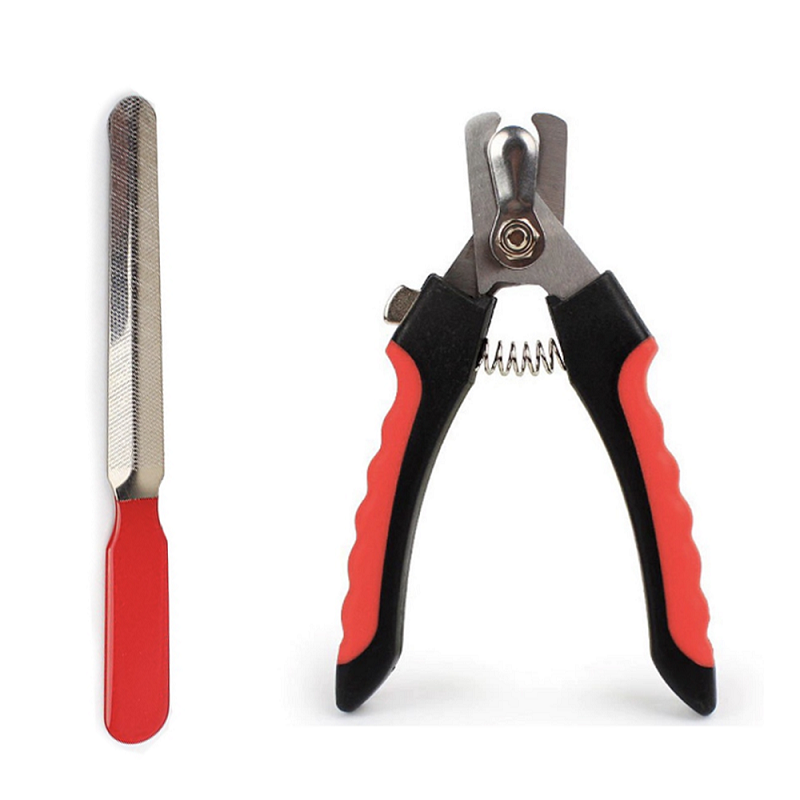 Unhas Pretas de Cachorro: O Segredo para um Corte Seguro e Sem Sangue