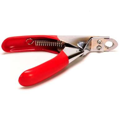 Unhas Pretas de Cachorro: O Segredo para um Corte Seguro e Sem Sangue