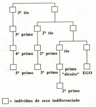 erros comuns sobre parentesco de cunhado