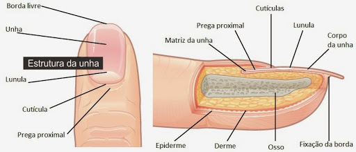 cuticula inflamada o que fazer