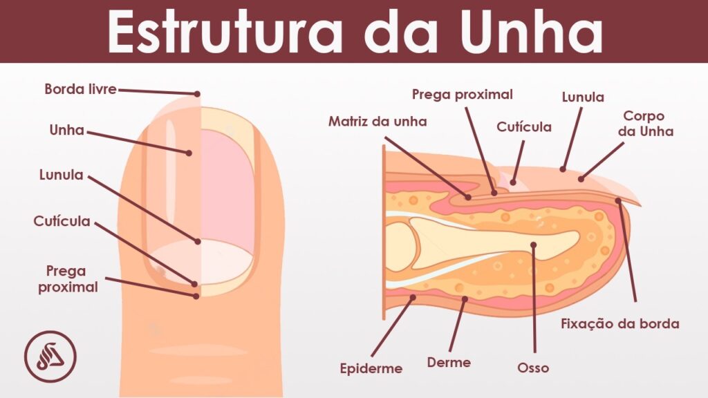 unha grossa na mão o que pode ser