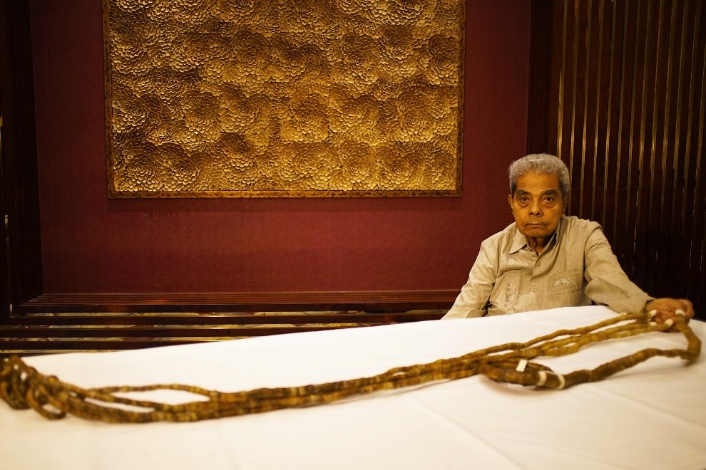 Recordes de unhas: Uma jornada através dos detentores de títulos do Guinness World Records