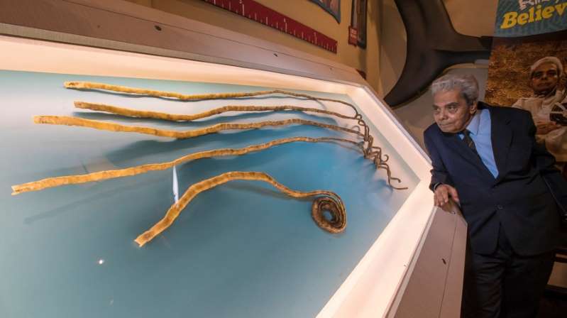 Desafios diários de quem tem unhas gigantes: Dirigir, vestir e mais