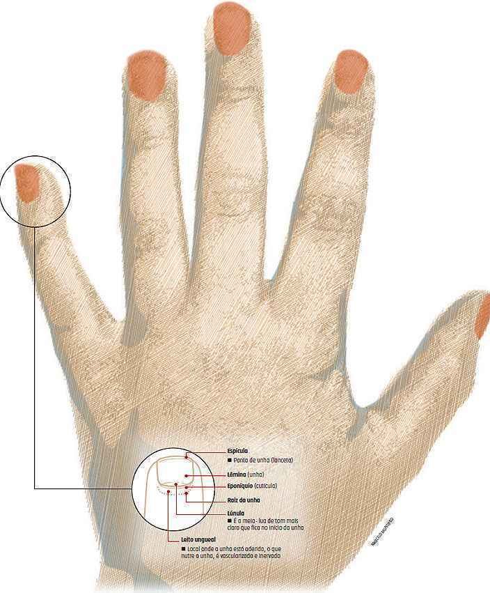 unhas onduladas verticais