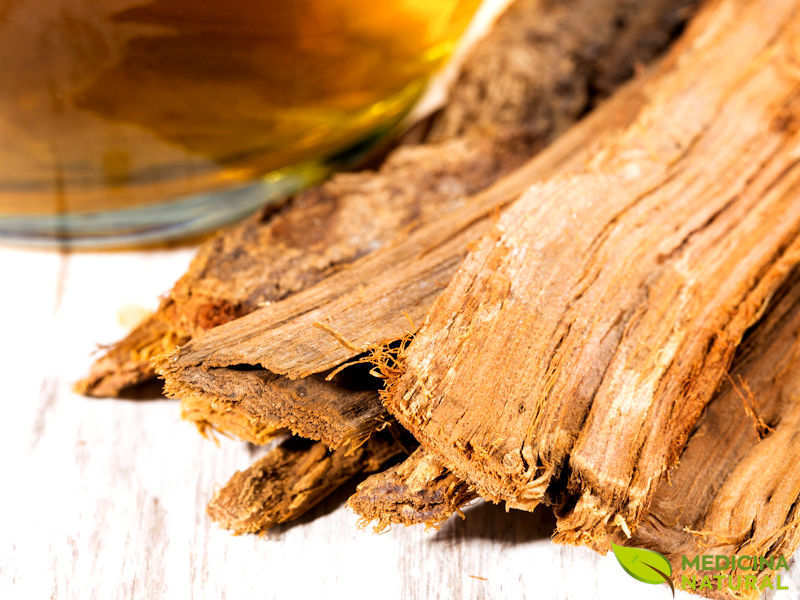 unhas e absorção de impacto