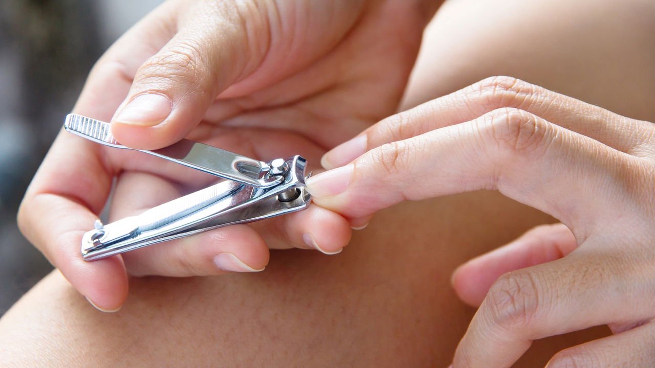 unha de gato para que serve