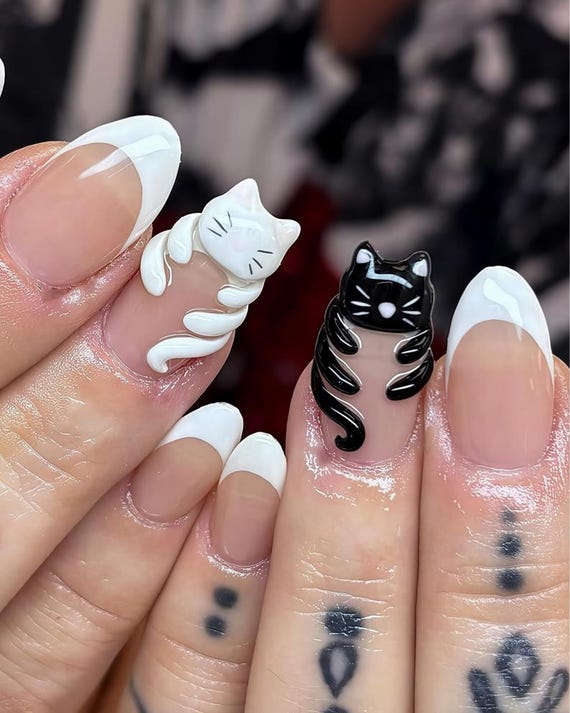 Cápsulas e Cuidados Essenciais
5. Unha de Gato: Alívio Natural para Dores e Inflamações Crônicas