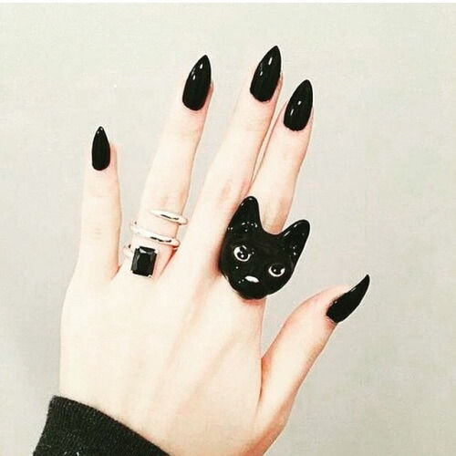 para que serve a unha de gato