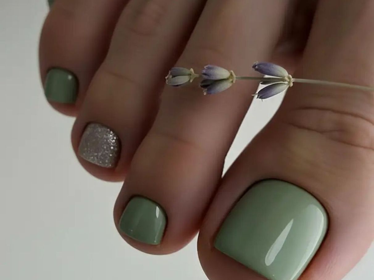 Como Cuidar da Unha de Gato Ornamental (Ficus pumila) em Muros