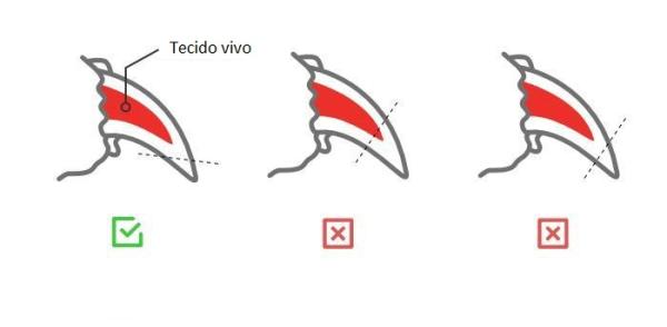 Guia Completo: Como Escolher o Melhor Cortador de Unhas para Cães