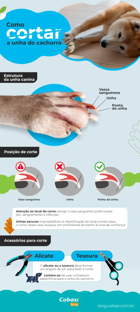 tamanho ideal unha cachorro grande porte