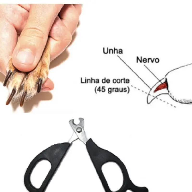 tesoura para cortar unha de cachorro