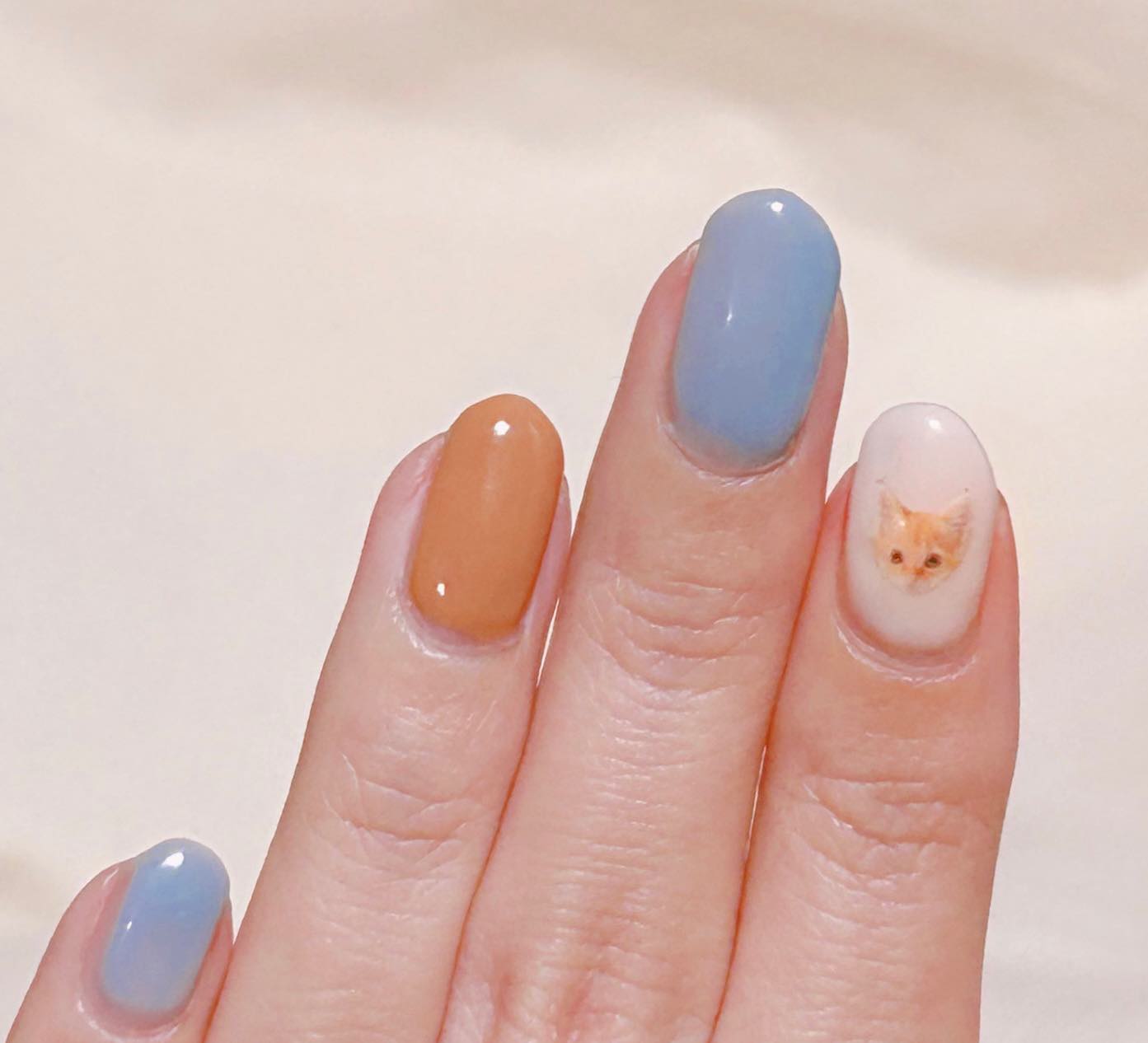 5 ideias de títulos