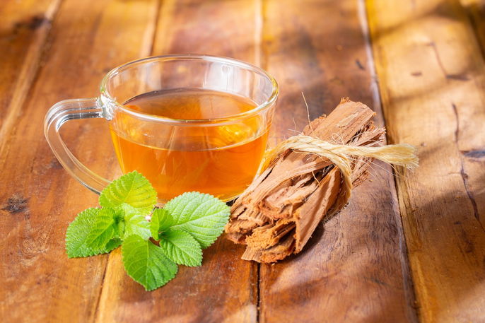 Unha de Gato: Benefícios Comprovados e Como Preparar o Chá Perfeito