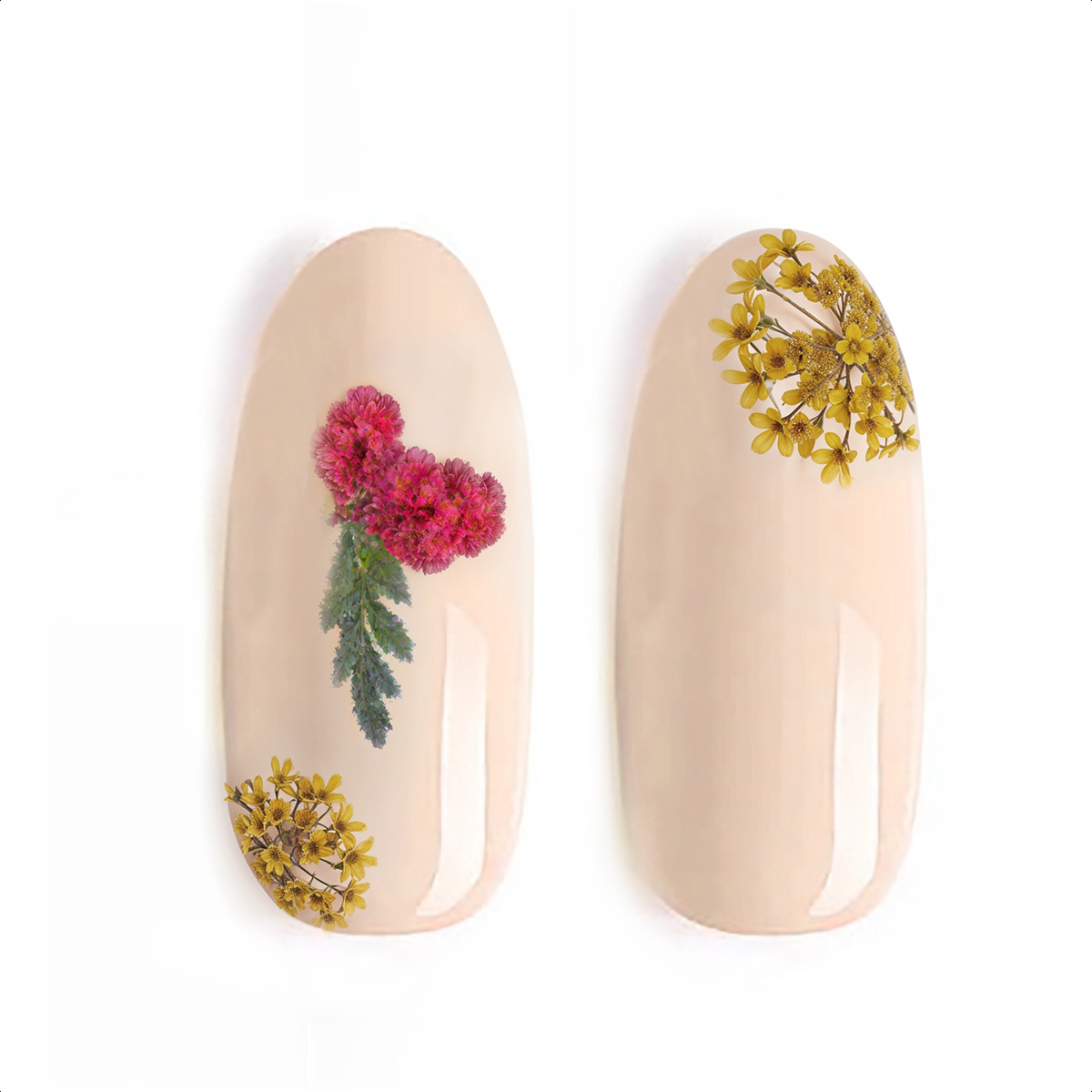 Tendências de cores de gel para unhas com flores secas