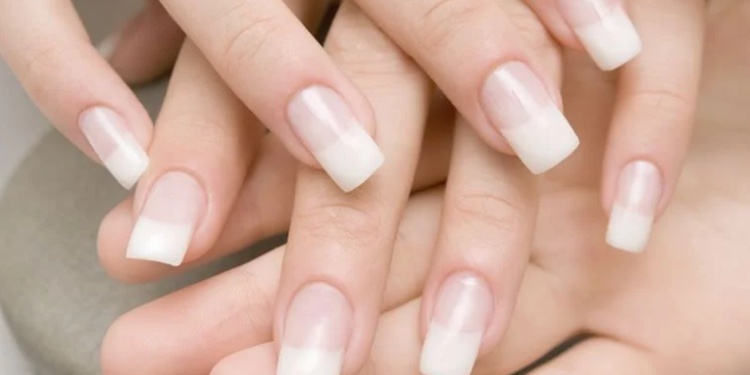 unha de fibra de vidro preço