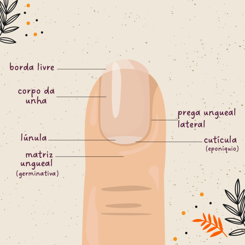 unha respira oxigênio