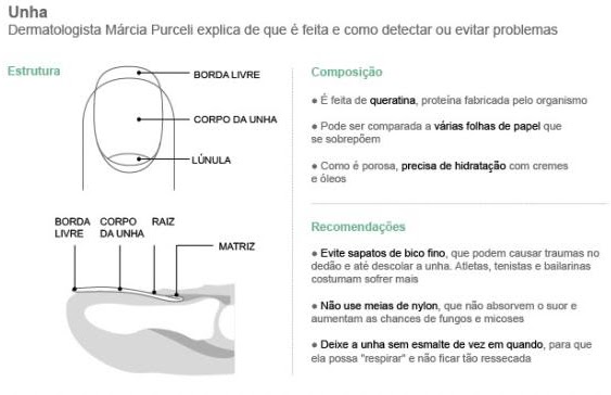 matriz da unha