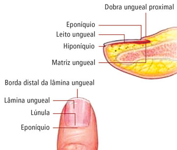 dermatologista unhas