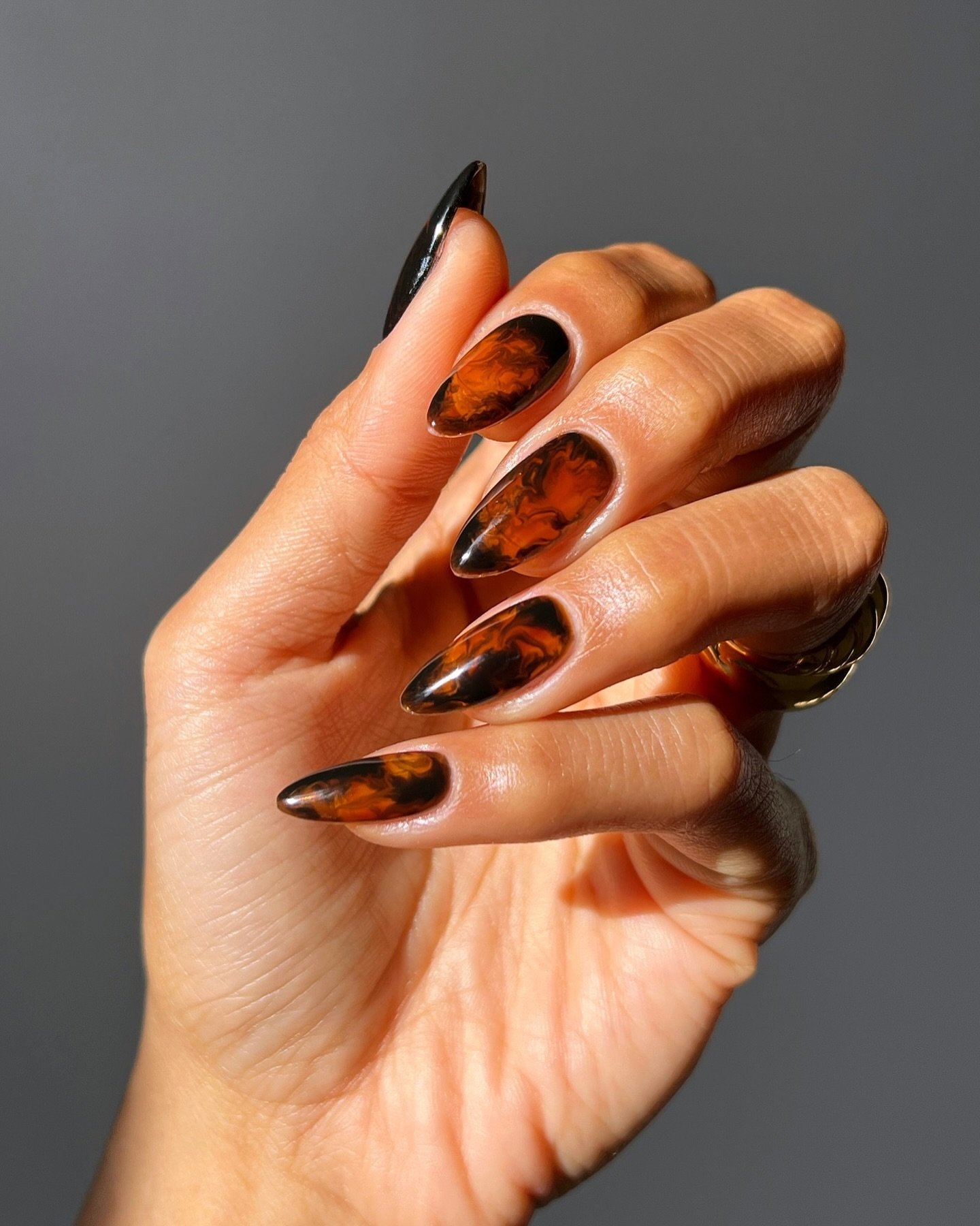 unha terracota fosca ou brilhante qual escolher