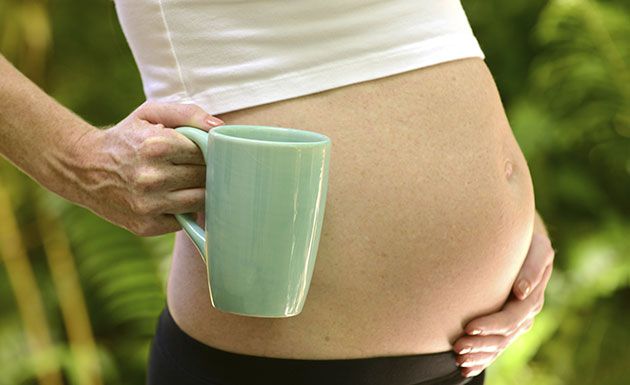 Uxi Amarelo e Unha de Gato na Fertilidade: O que a Ciência Diz?