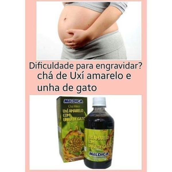 uxi amarelo e unha de gato para engravidar