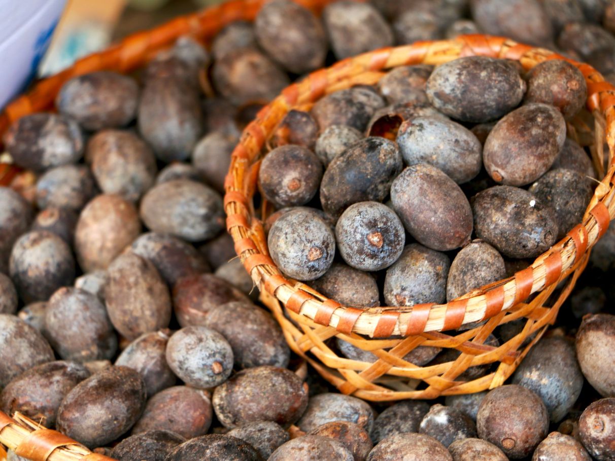 Uxi Amarelo e Unha de Gato: Mitos e Verdades para a Fertilidade