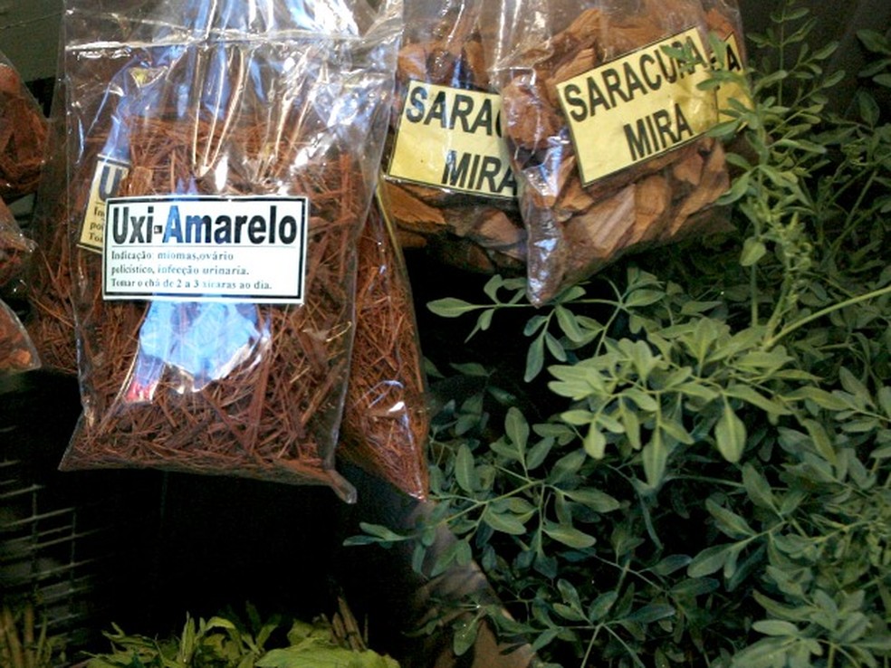 Riscos e Cuidados ao Consumir Uxi Amarelo e Unha de Gato