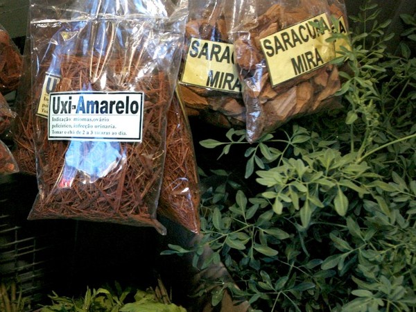 5 ideias de títulos:
1. Uxi Amarelo e Unha de Gato: O Guia Completo para o Tratamento Natural.
2. Quanto Tempo Leva para o Uxi Amarelo e Unha de Gato Fazer Efeito?
3. Benefícios da Combinação Uxi Amarelo e Unha de Gato para a Saúde Feminina.
4. Como Usar Uxi Amarelo e Unha de Gato: Sugestões de Uso e Duração.
5. Uxi Amarelo e Unha de Gato: Mitos e Verdades sobre o Tratamento para Fertilidade.