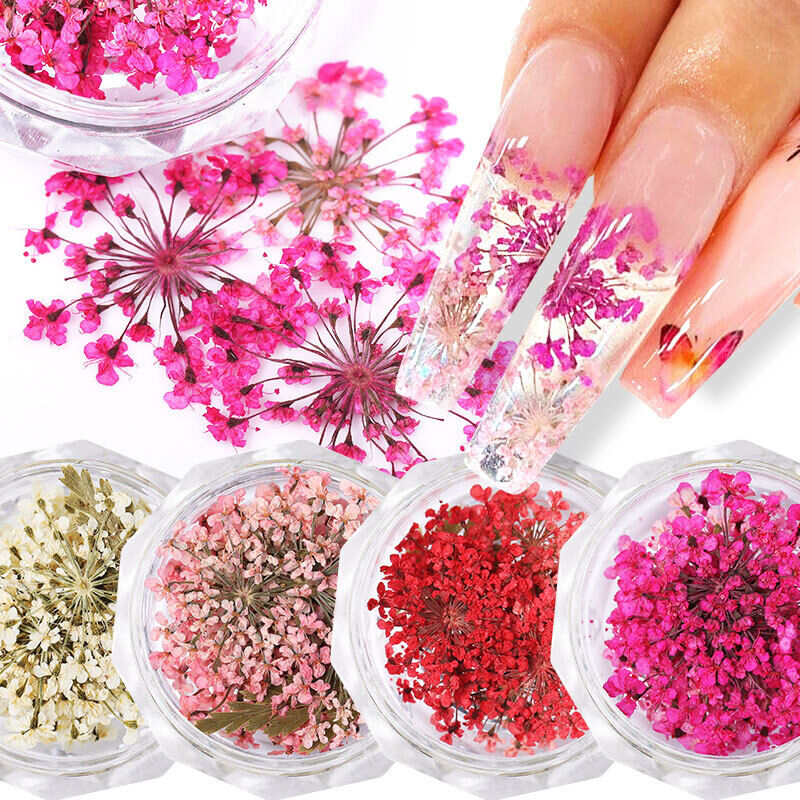 nail art encapsulada