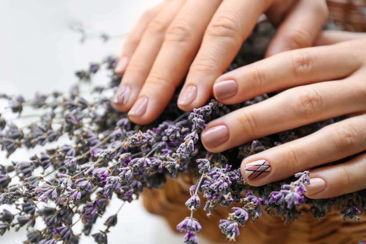 unha lavanda em gel